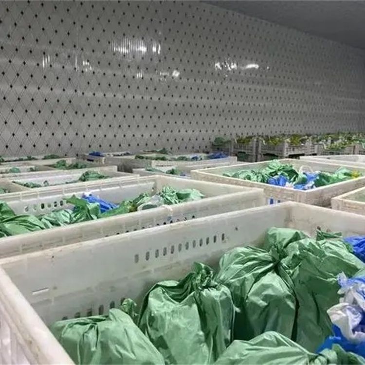 豪聯(lián)塑業(yè)案例展示